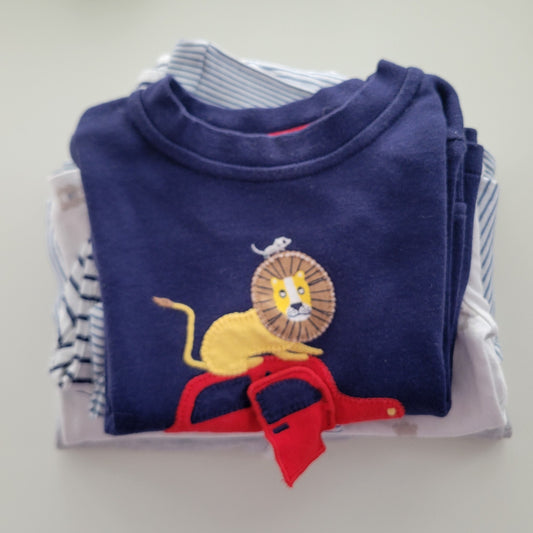 Blue lions bundle - 10 items