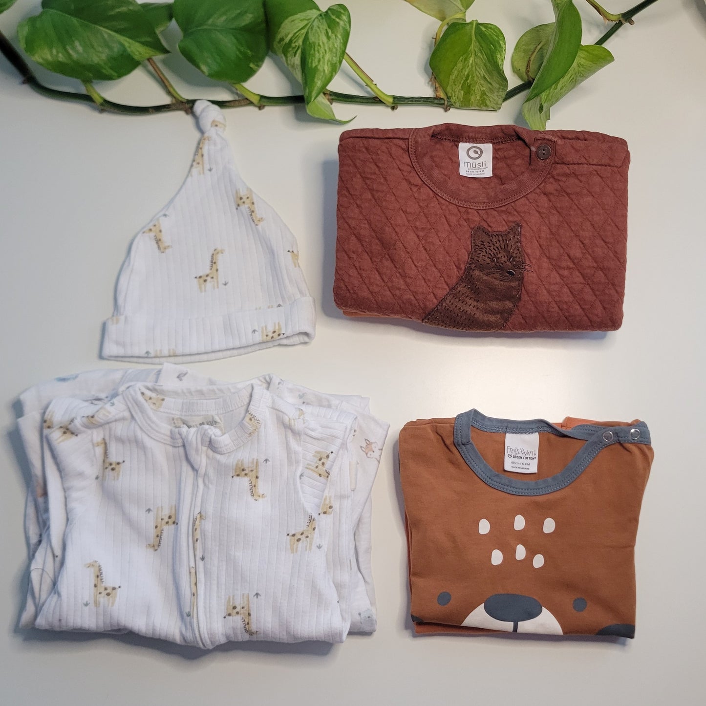 Bear and fox bundle - 6 items
