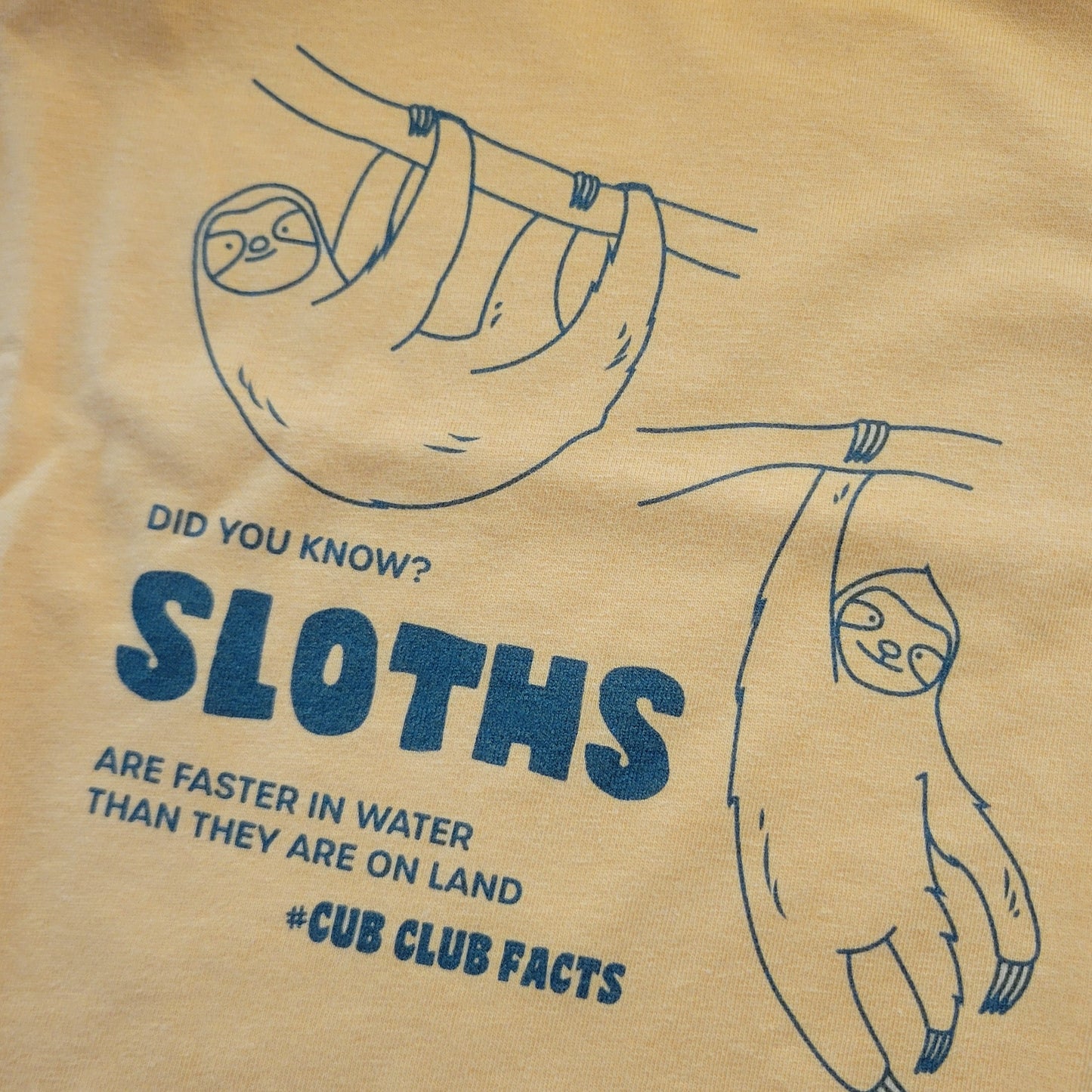 Sloth bundle - 10 items