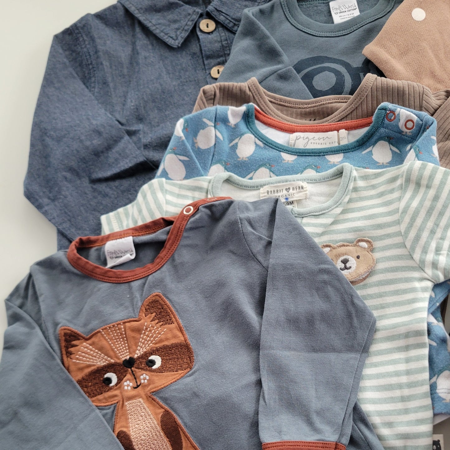 Raccoon bundle - 13 items