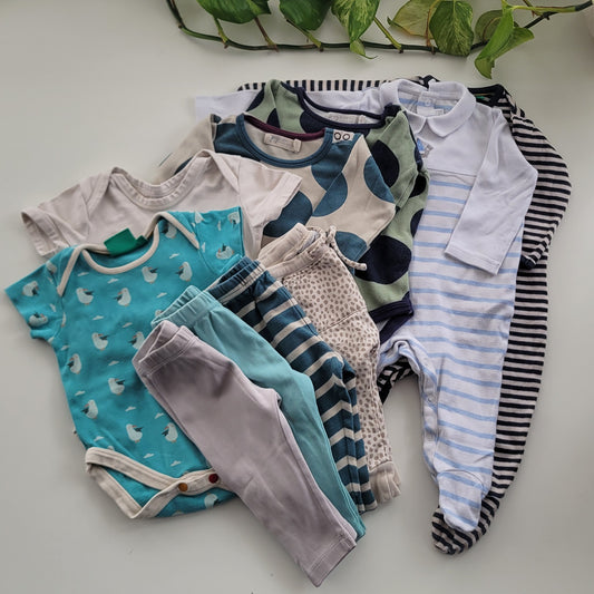 Blue seagull bundle - 10 items