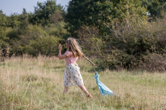 The birds did sing little twirler dress