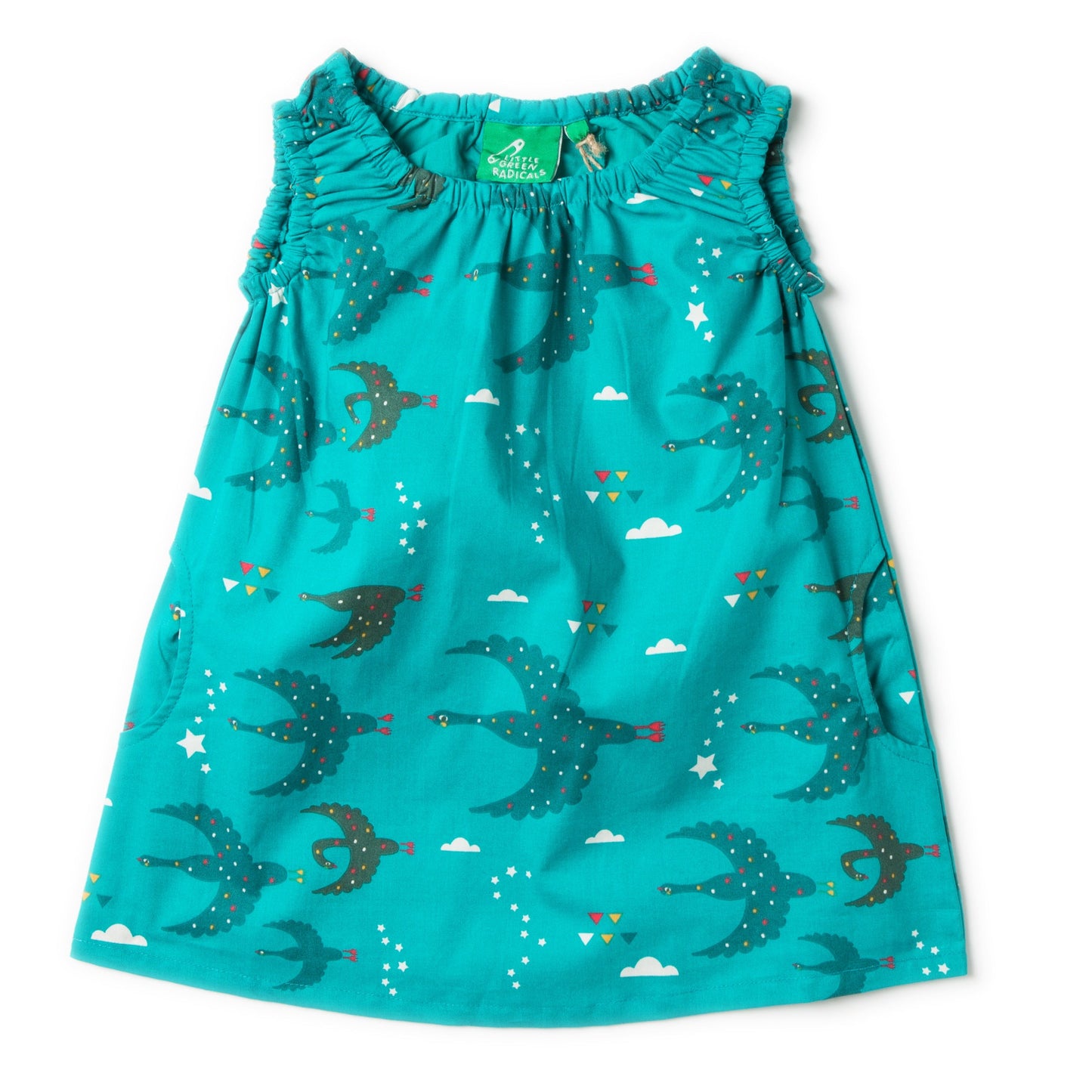Flying south twirl dress