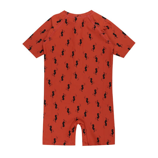 Seahorse surfsuit - Borro - rent baby kids clothes