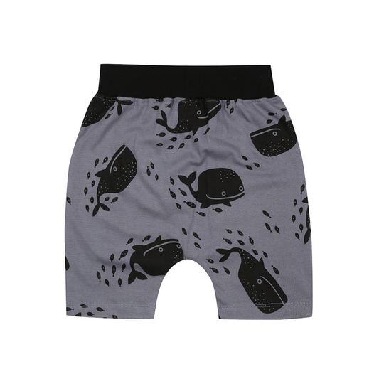 Whales shorts back