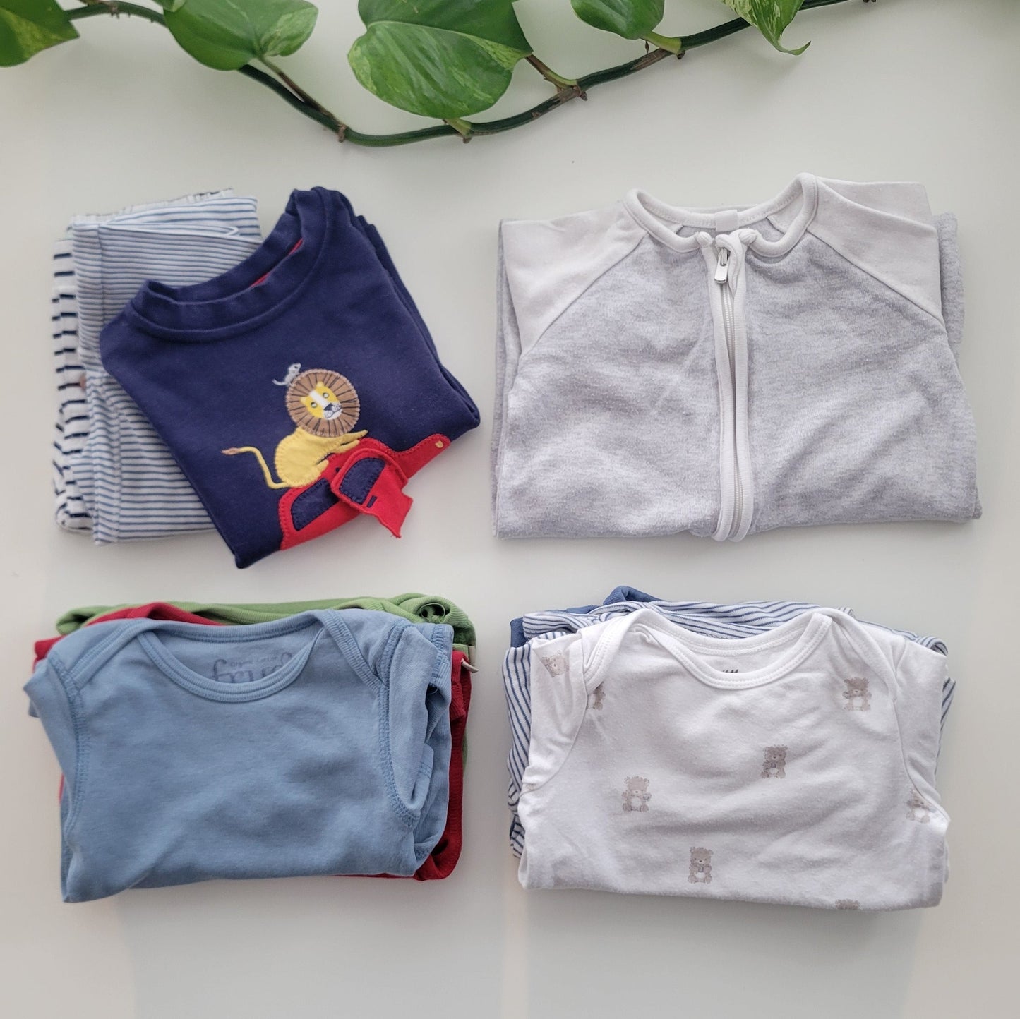 Blue lions bundle - 10 items