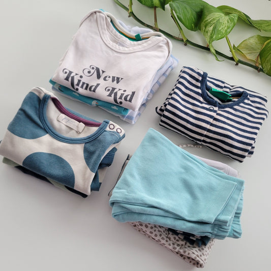 Blue seagull bundle - 10 items