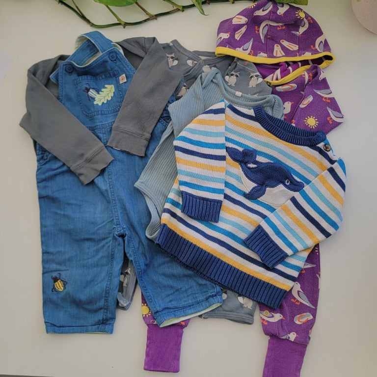 Wonder whale bundle - 6 items