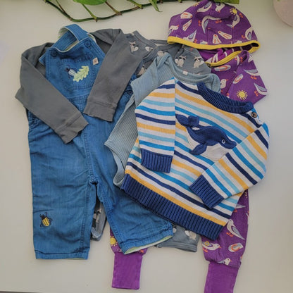 Wonder whale bundle - 6 items