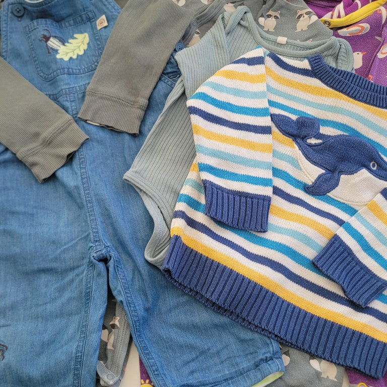 Wonder whale bundle - 6 items