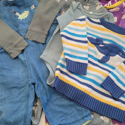 Wonder whale bundle - 6 items