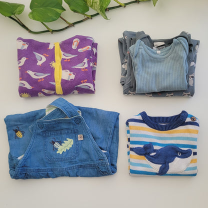 Wonder whale bundle - 6 items