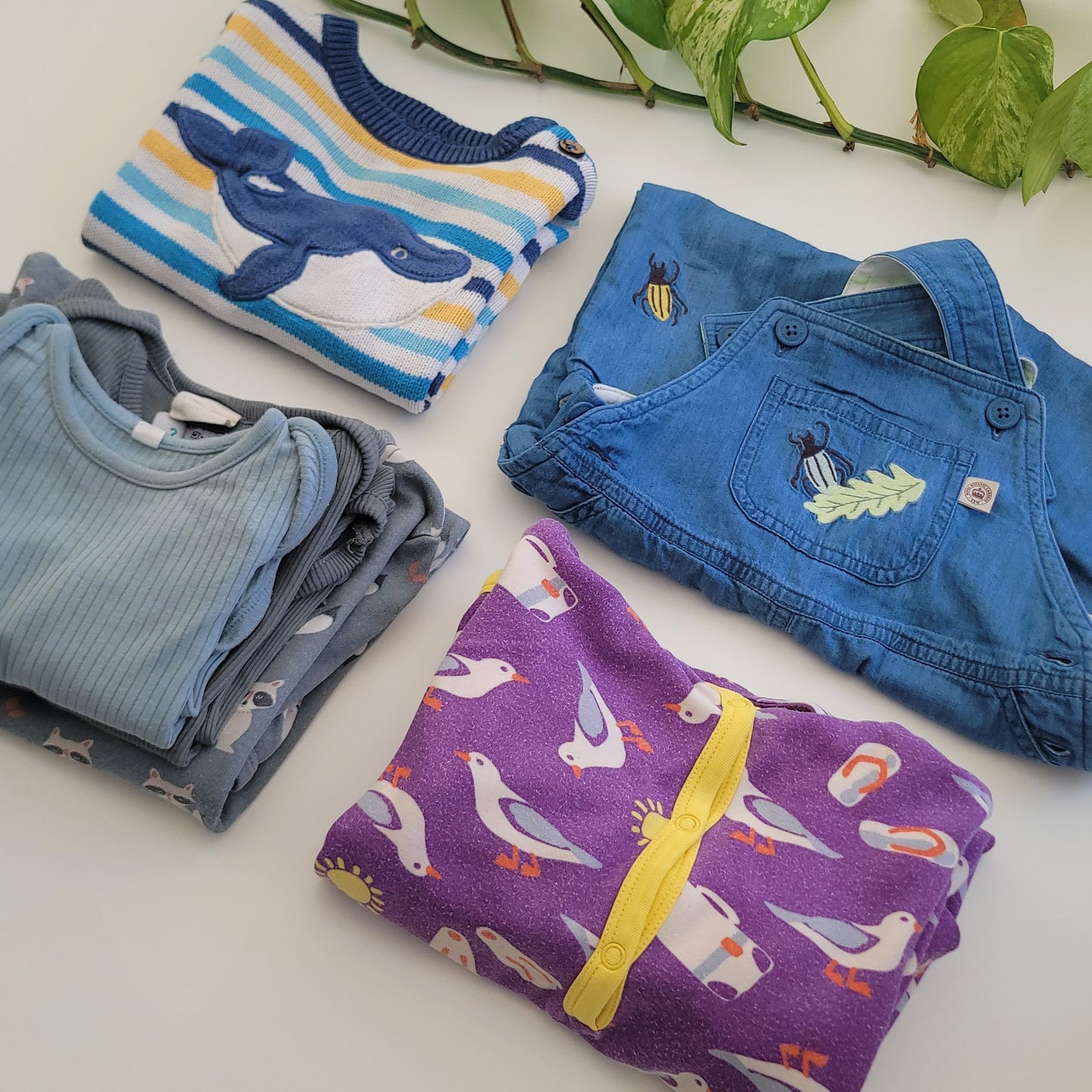 Wonder whale bundle - 6 items