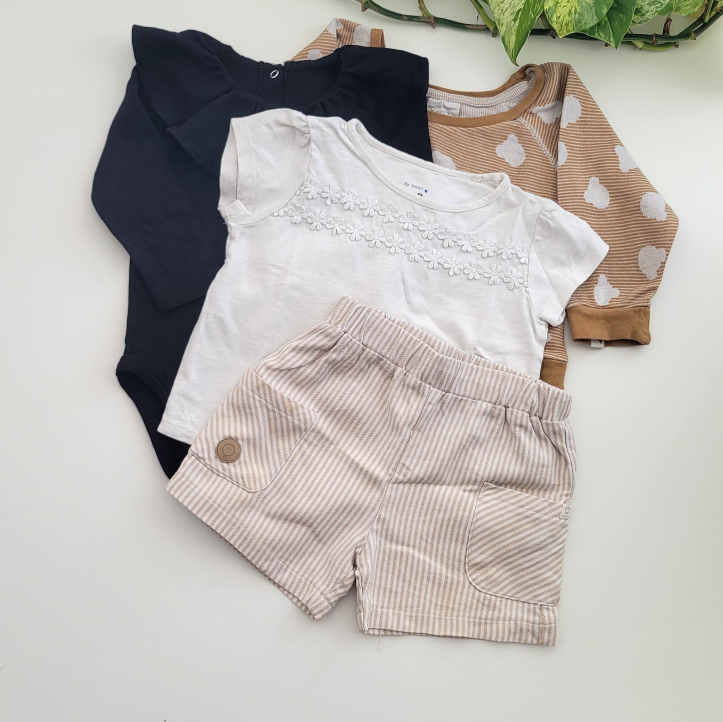 Daisy neutral bundle - 4 items