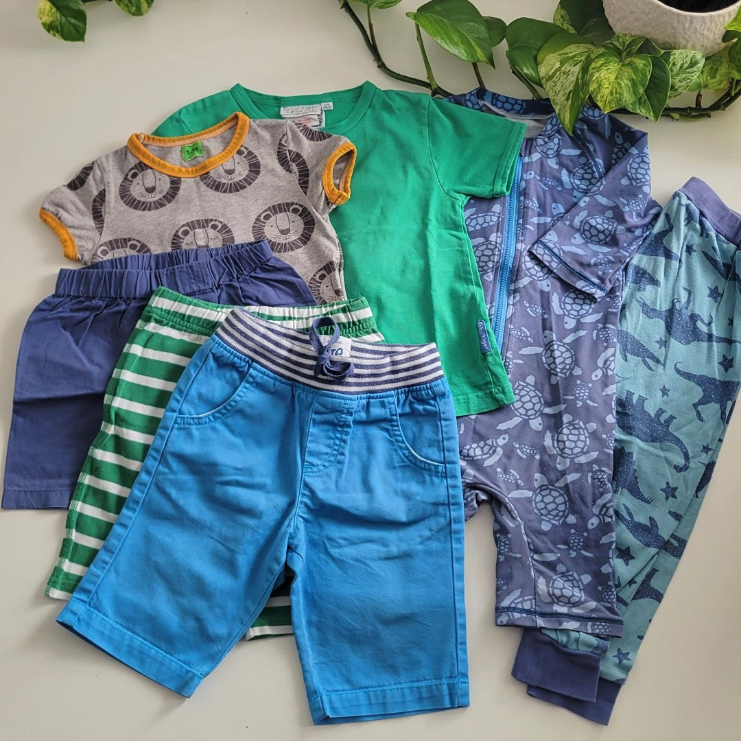 Summer lion bundle - 7 items