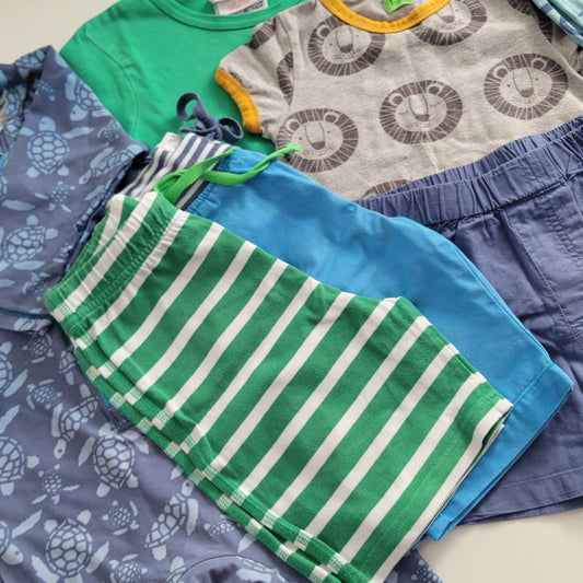 Summer lion bundle - 7 items
