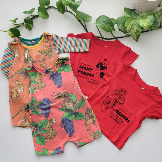 Wildlife bundle - 5 items