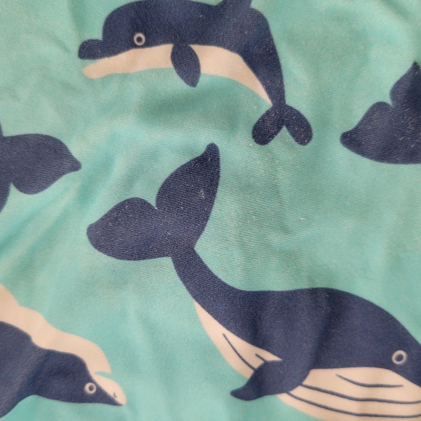 Flipper and fins bundle - 4 items