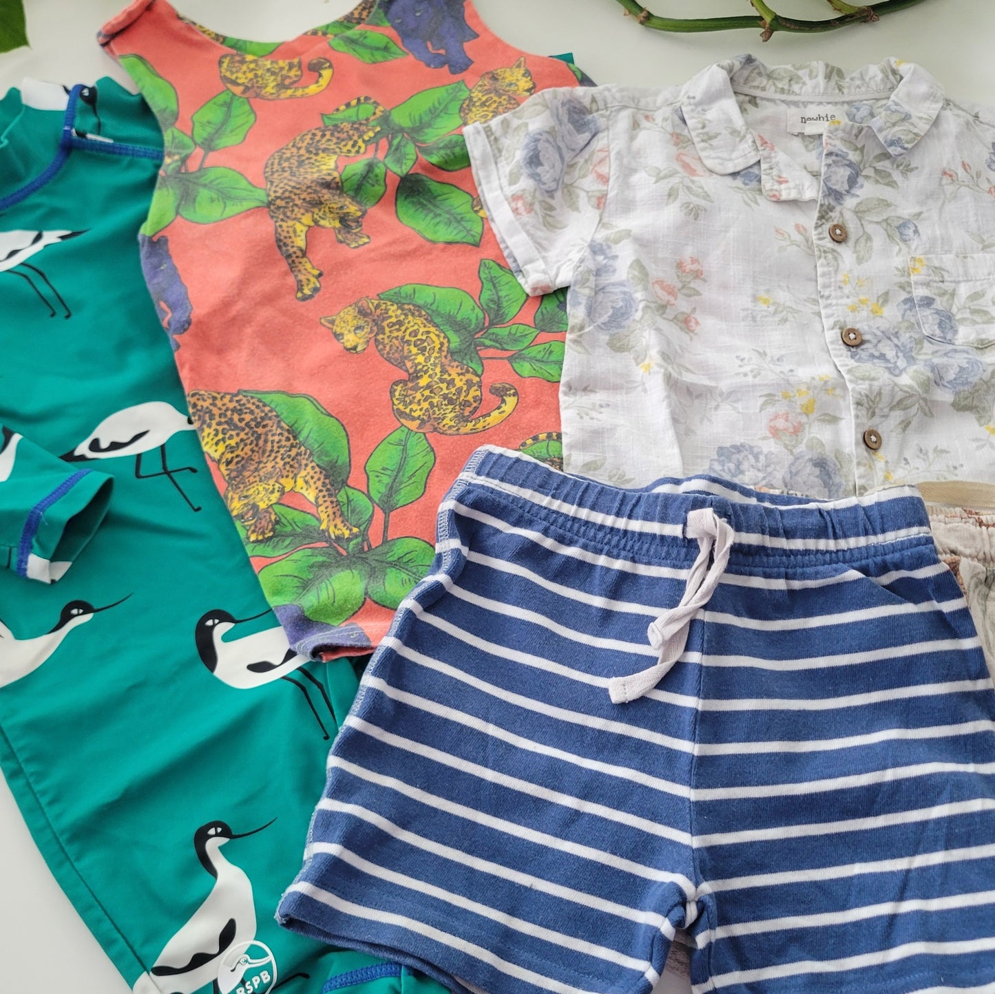 Jungle bundle - 5 items