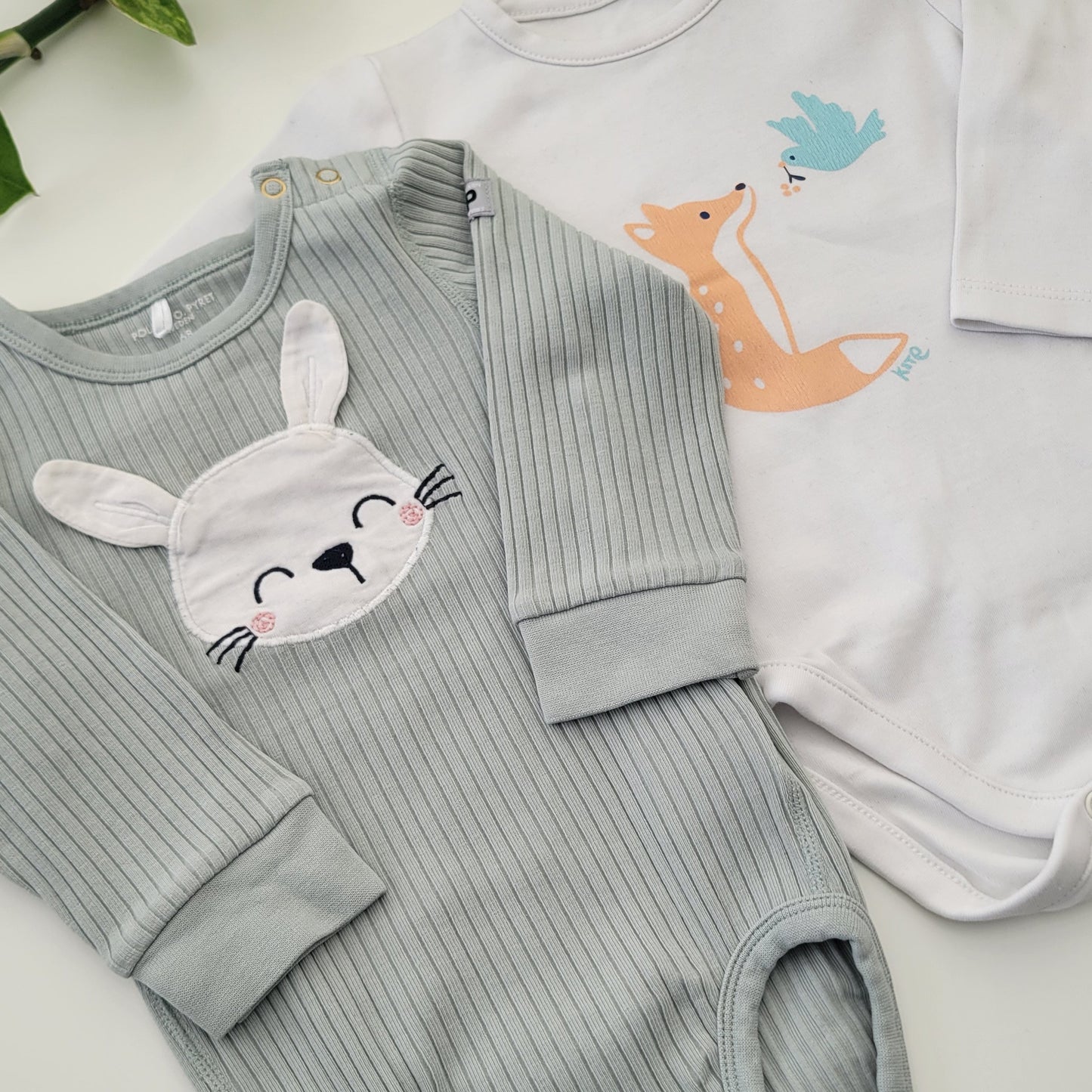 Bunny bundle - 2 items