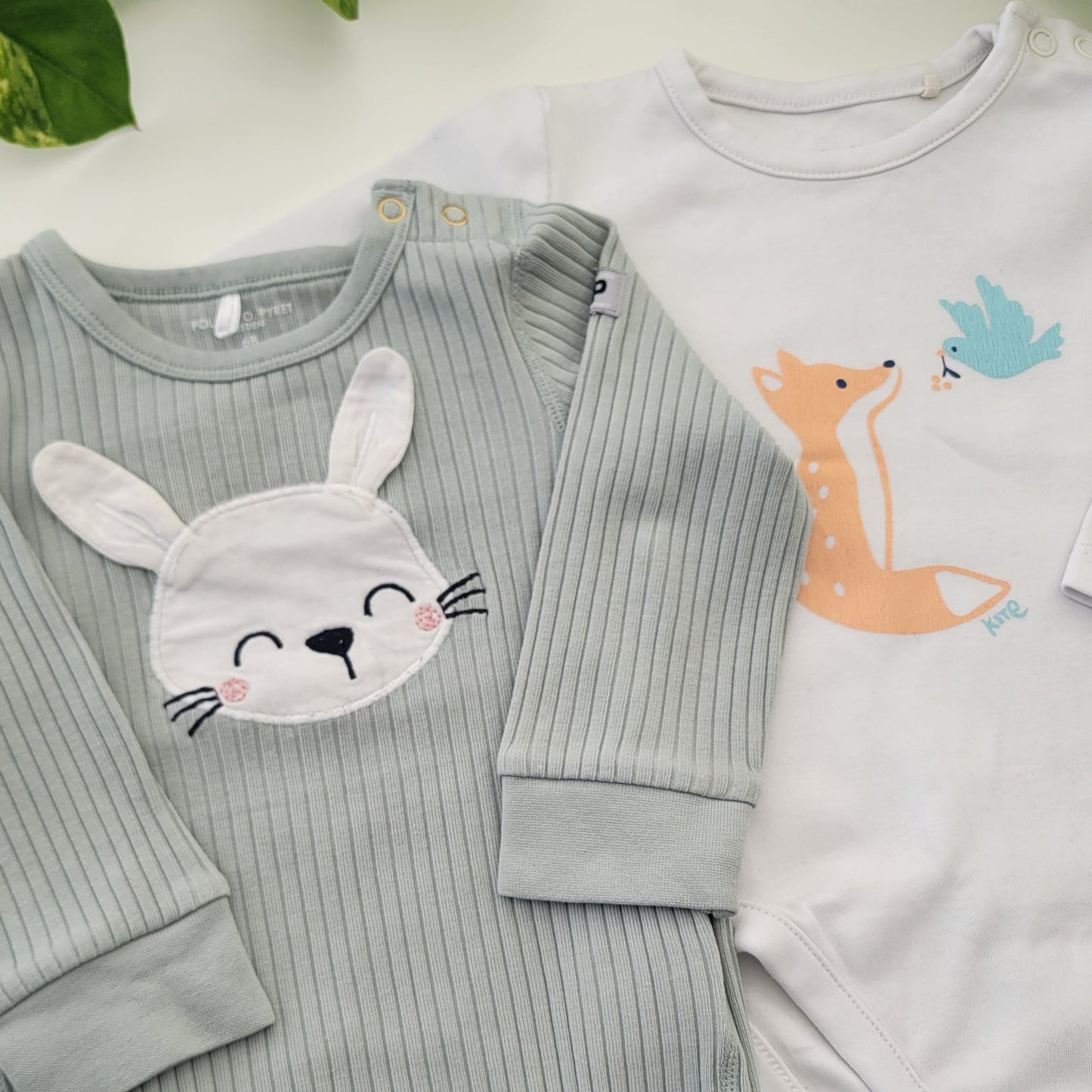 Bunny bundle - 2 items