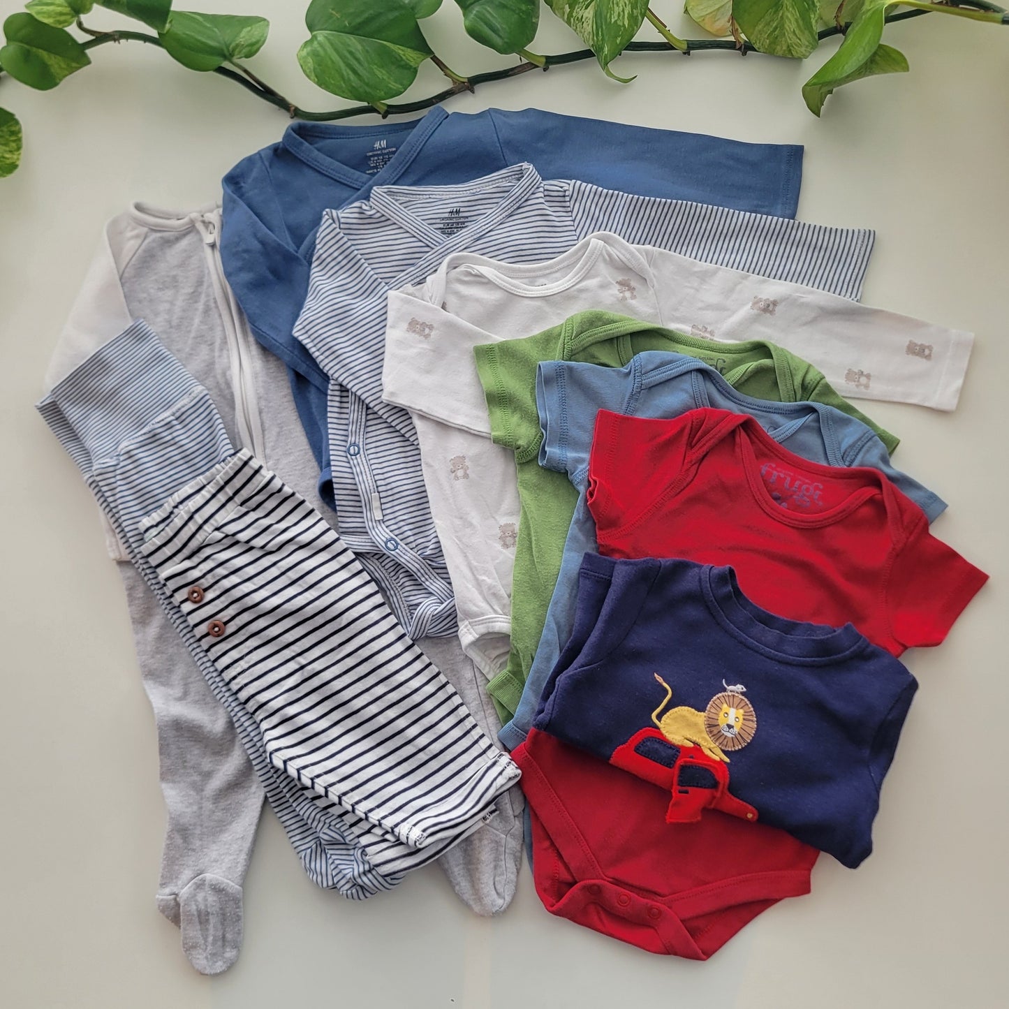 Blue lions bundle - 10 items