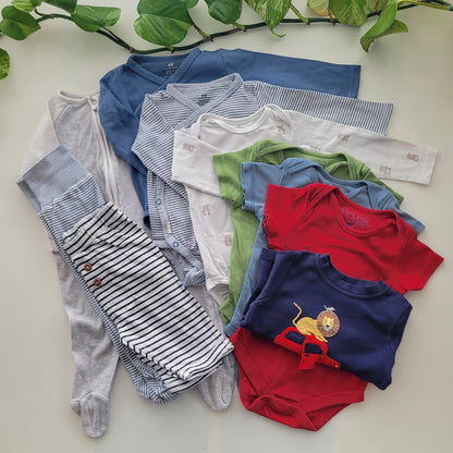 Blue lions bundle - 10 items