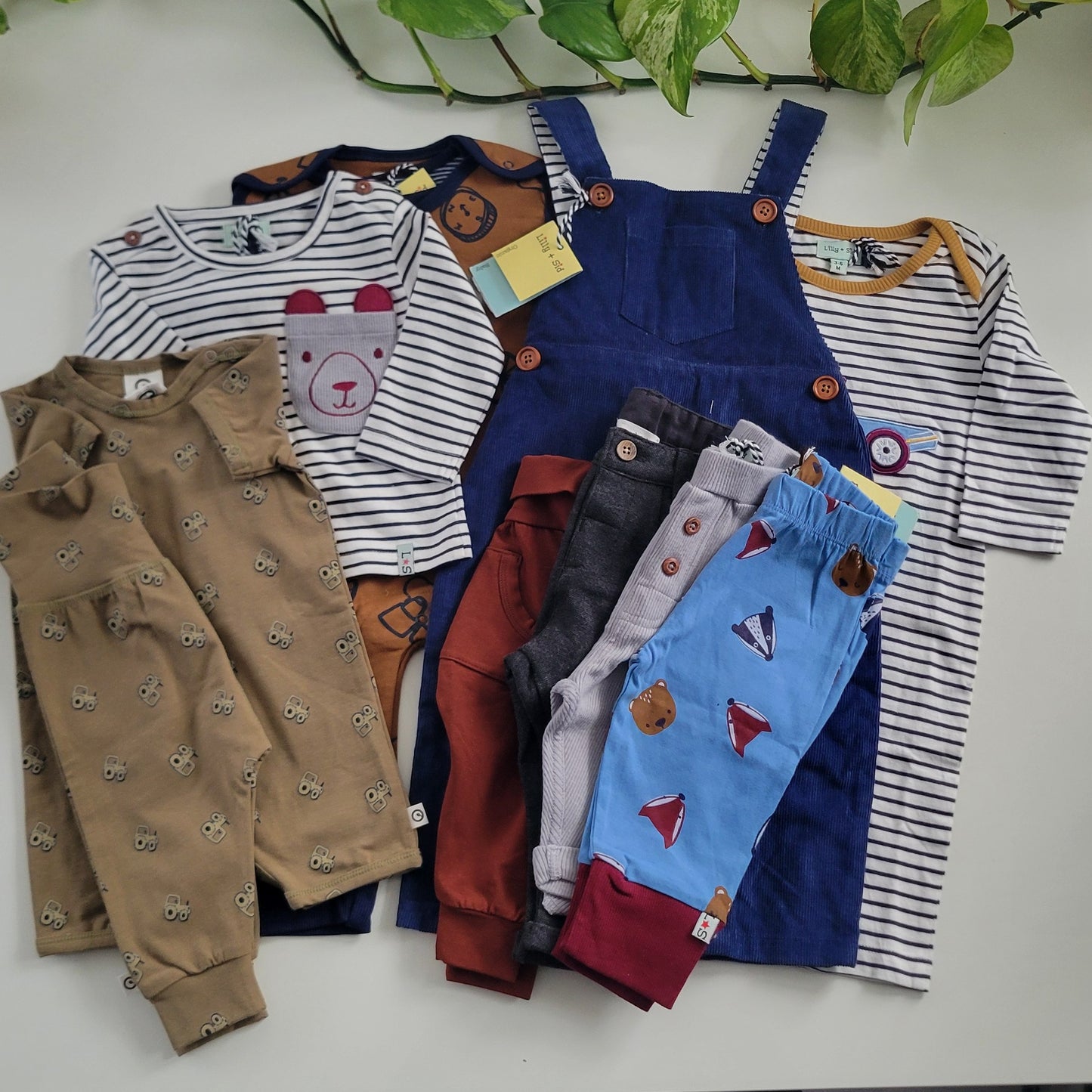 Fast fox bundle - 9 items