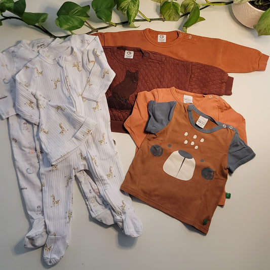 Bear and fox bundle - 6 items