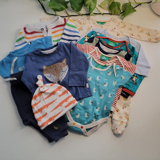 Seagull bundle - 11 items