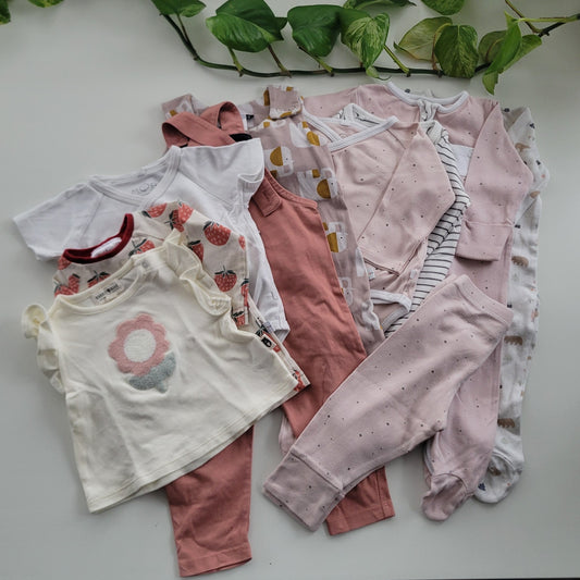 Pink elephant bundle - 10 items