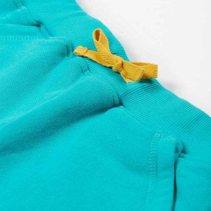 Samson shorts - sea moss