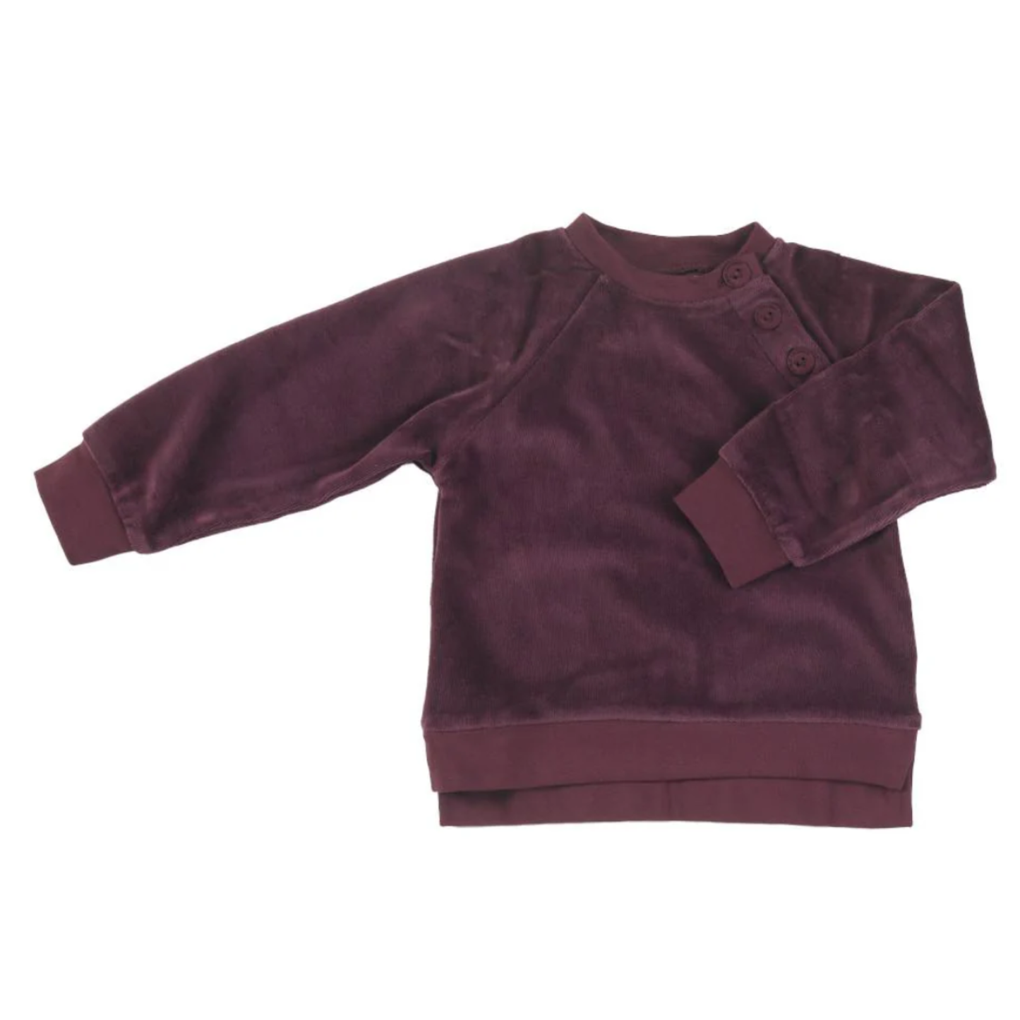 Velour sweatshirt - fig