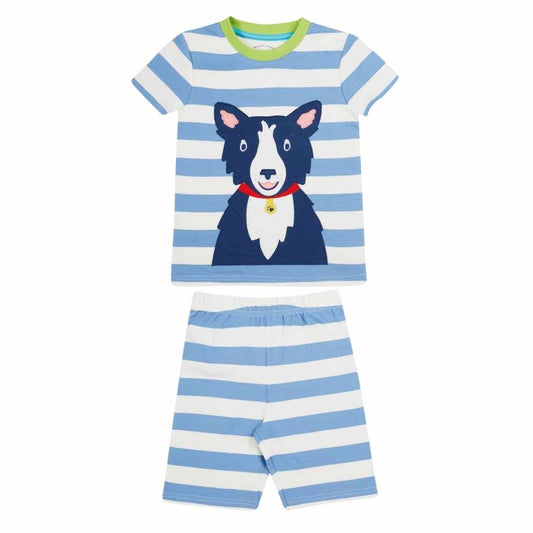 Porth collie dog pyjamas