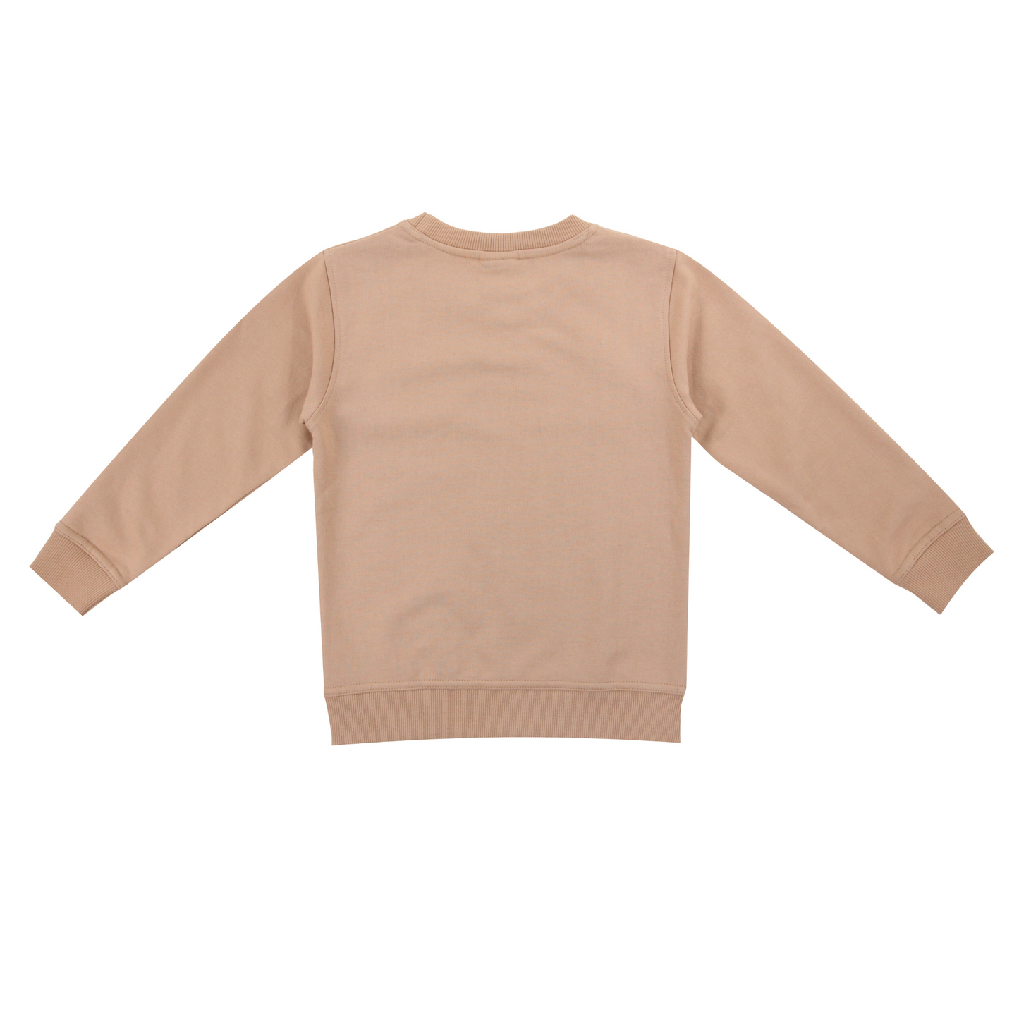 Mountain scene motif sweatshirt