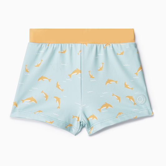 Dolphin swim shorts