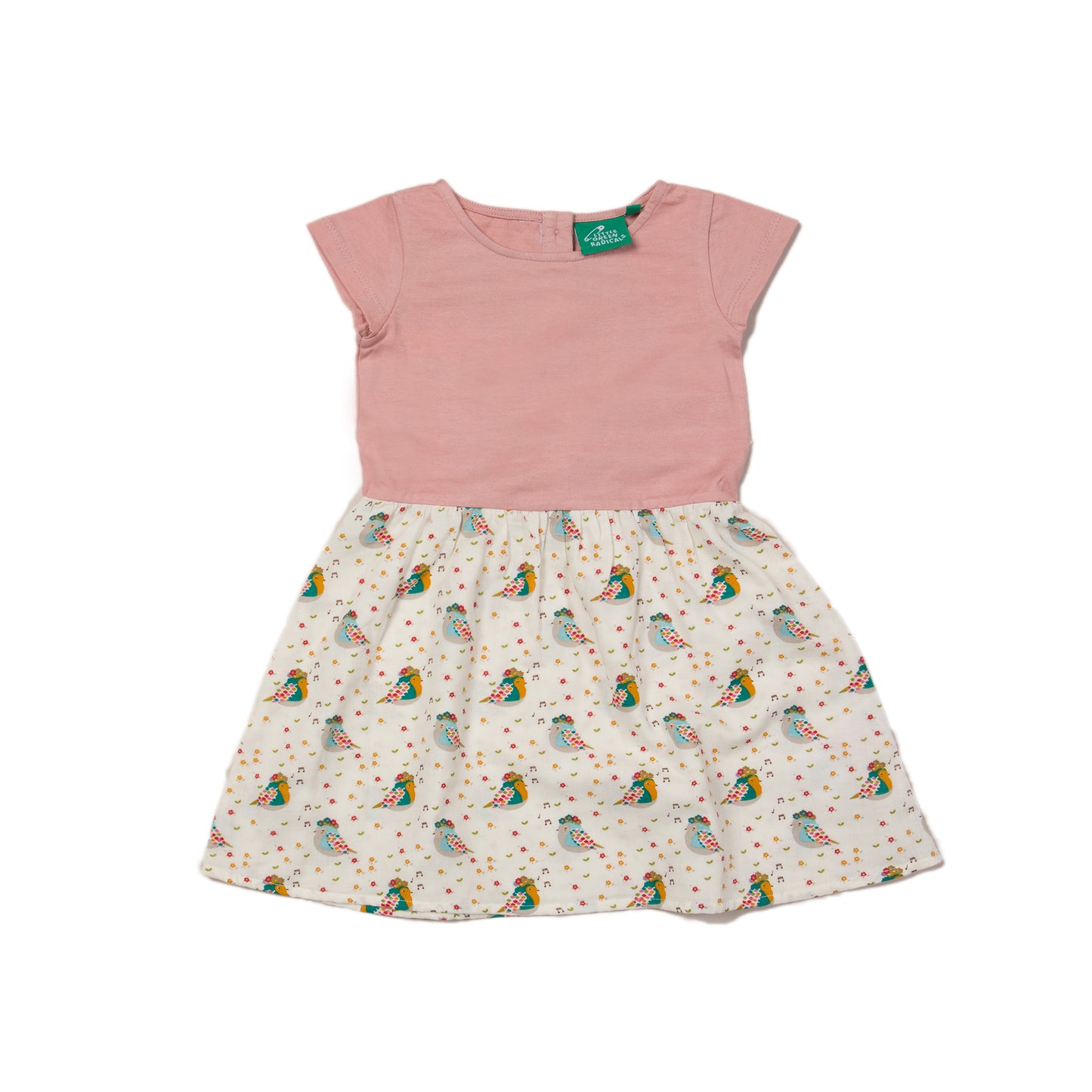 The birds did sing little twirler dress