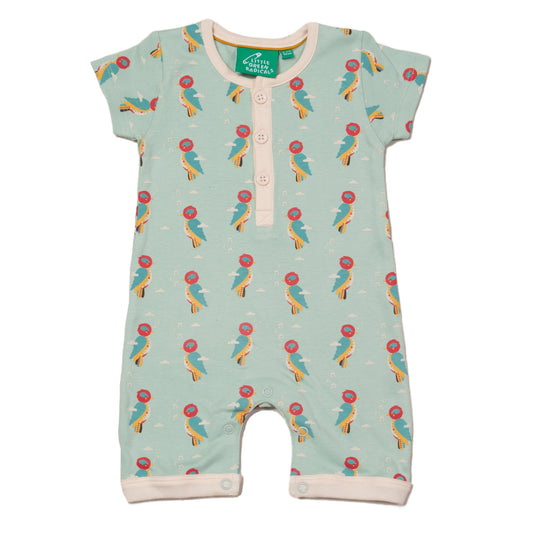 Little woodpecker shortie