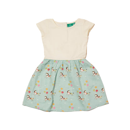 Wild horses little twirler dress