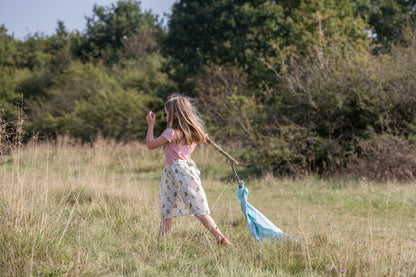 The birds did sing little twirler dress