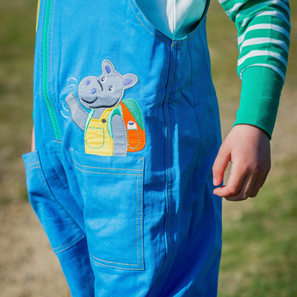 Frog & hippo twill dungarees