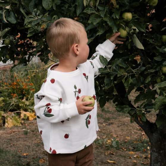 Raspberry patch sweater