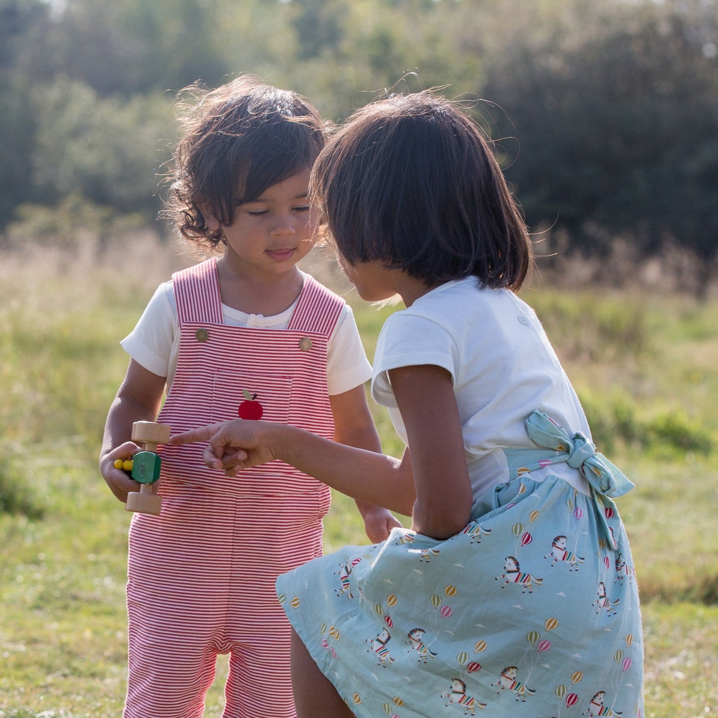Wild horses little twirler dress
