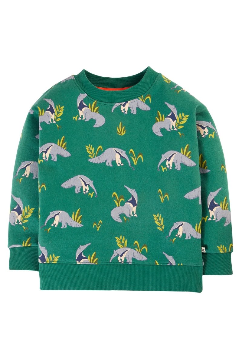 Anteater parade sweatshirt - Borro - rent baby kids clothes