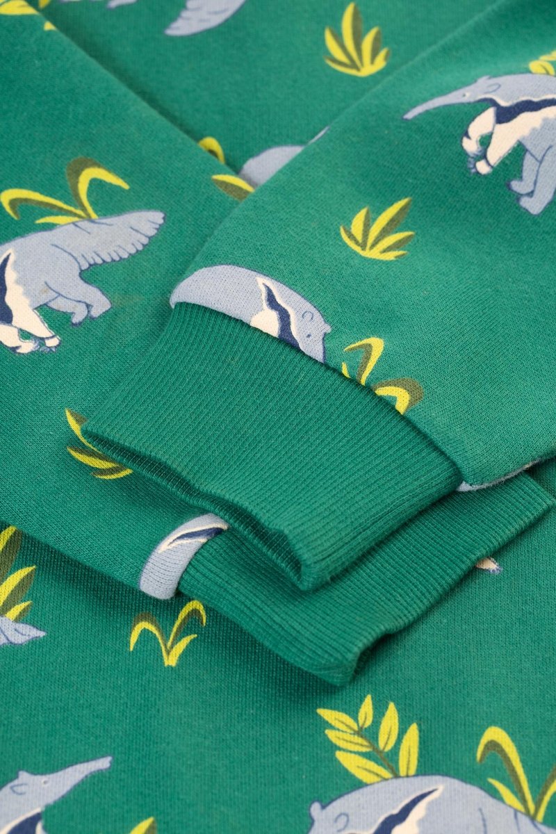 Anteater parade sweatshirt - Borro - rent baby kids clothes