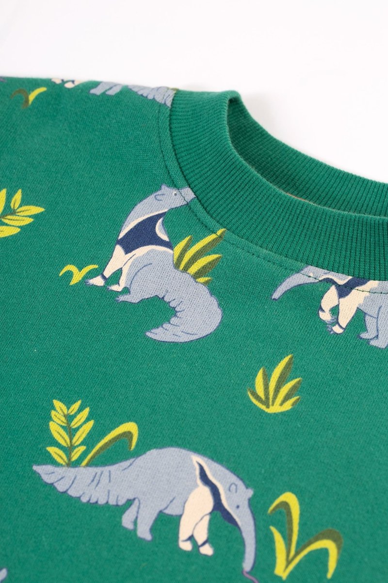 Anteater parade sweatshirt - Borro - rent baby kids clothes