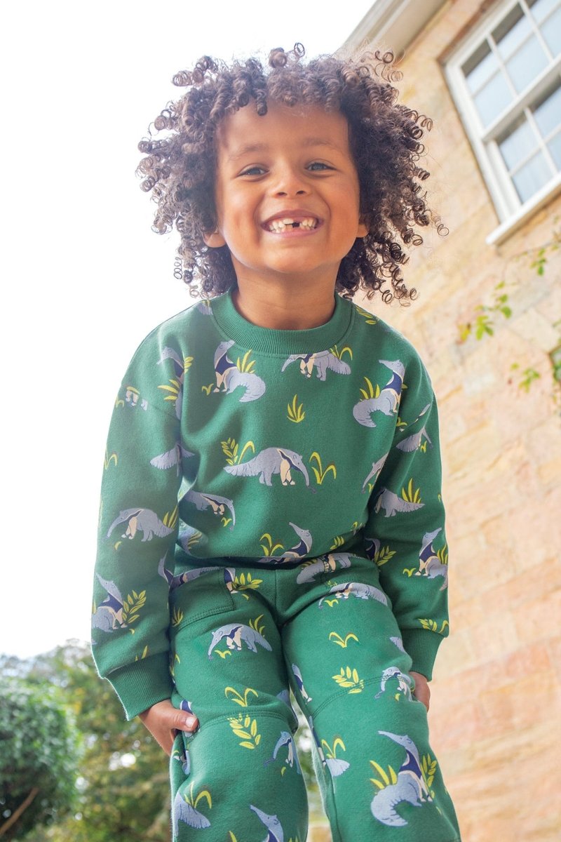 Anteater parade sweatshirt - Borro - rent baby kids clothes