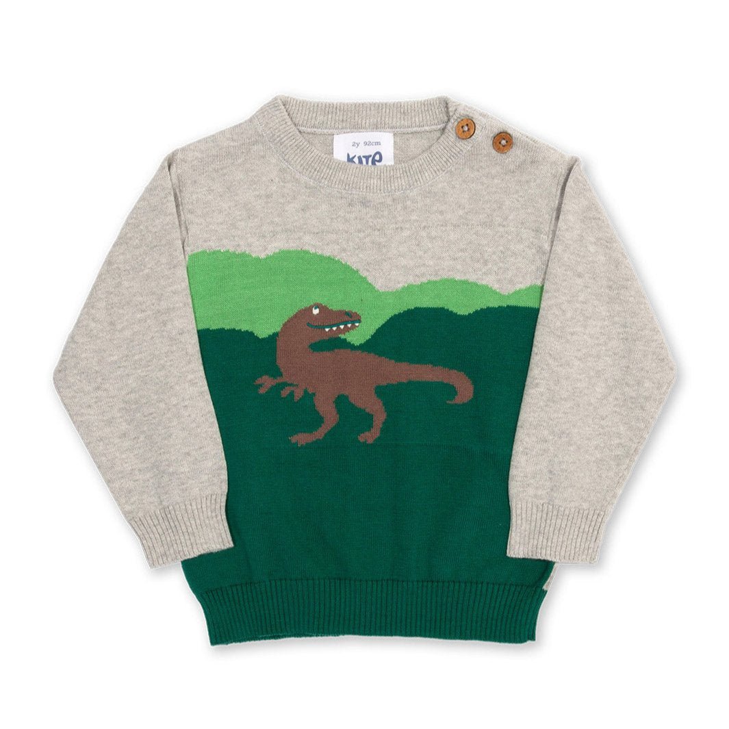 Dino jumper - Borro - rent baby kids clothes