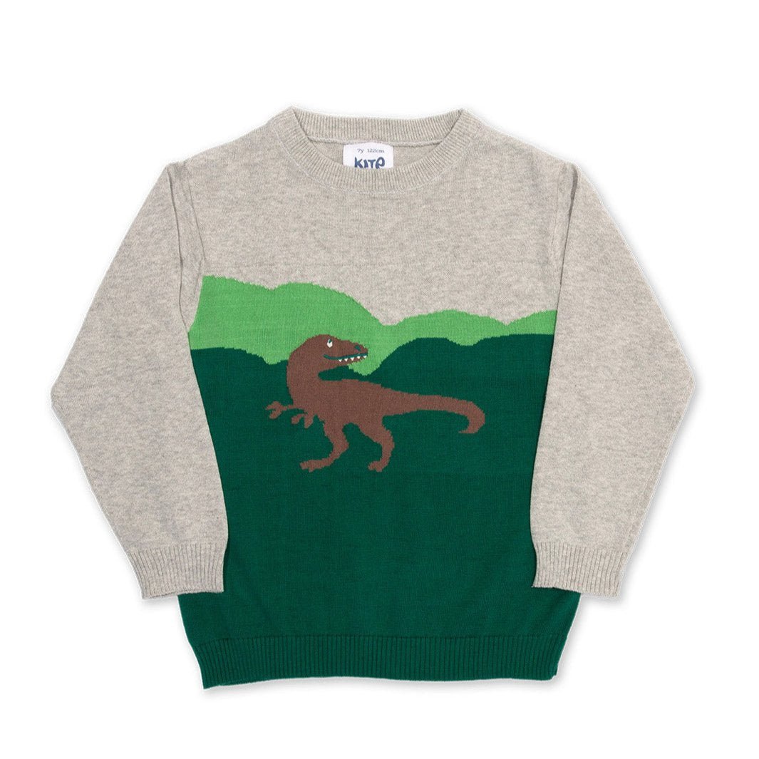 Dino jumper - Borro - rent baby kids clothes