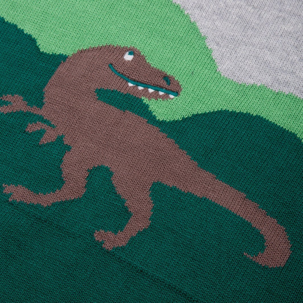 Dino jumper - Borro - rent baby kids clothes